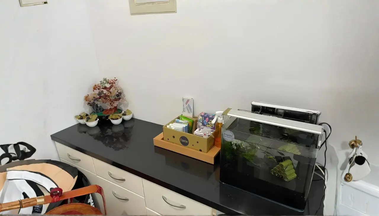 居家財位布局說明，依住宅方位調整擺放位置以符合實際使用需求