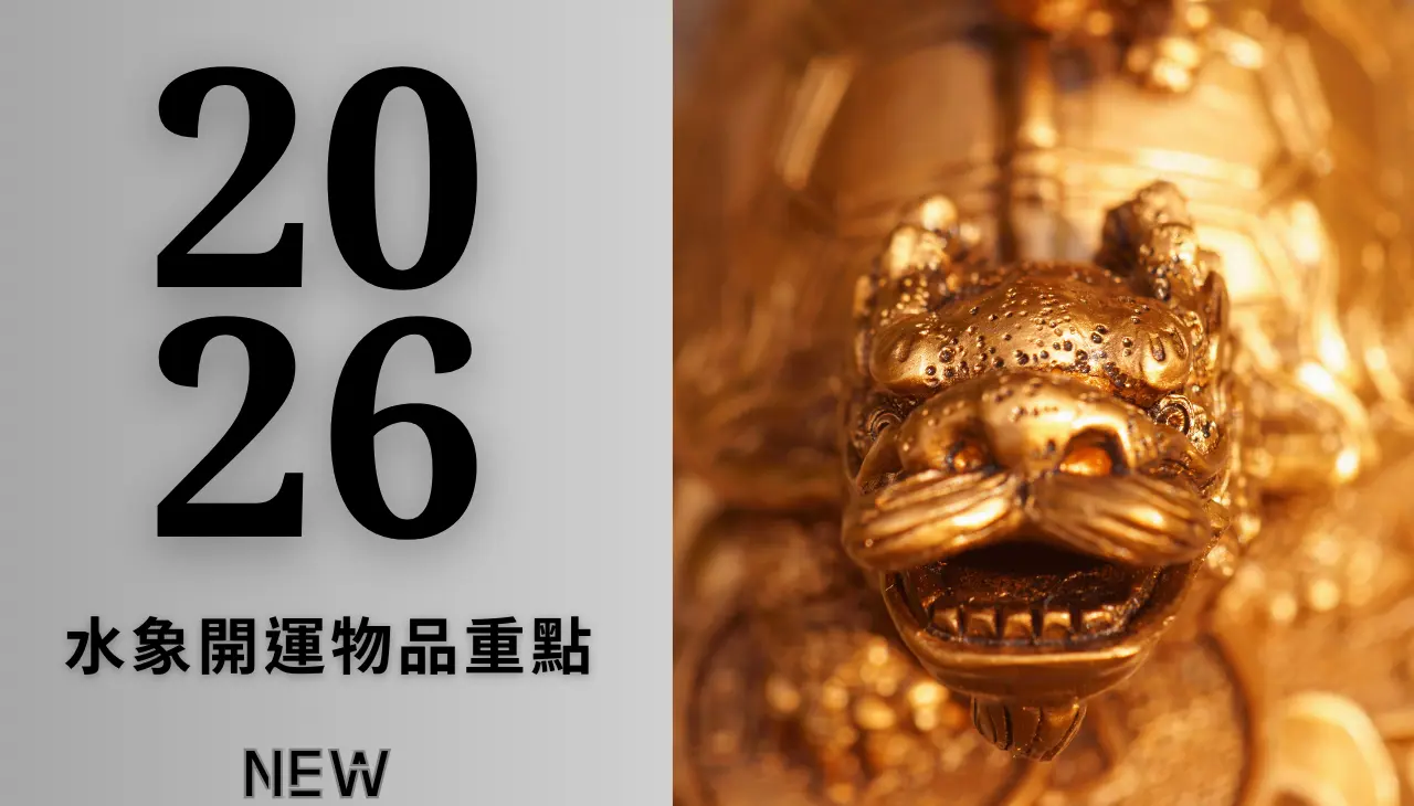 2026 丙午年龍龜開運物｜水象龍龜象徵穩定與承接能量