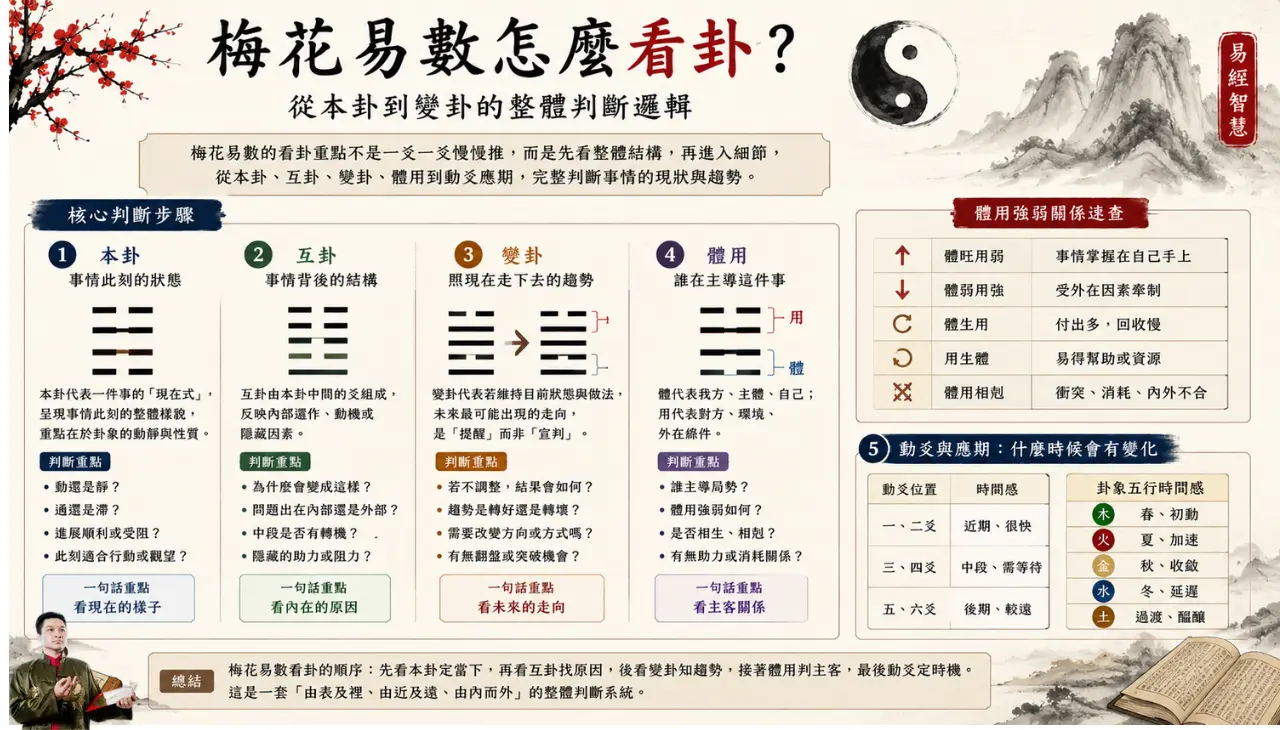 梅花易數怎麼看卦？本卦、互卦、變卦、體用與動爻判斷流程